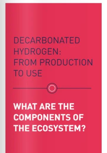 Decarbonated hydrogen
